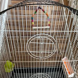 Bird Cage