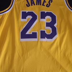 LEBRON JAMES LAKERS JERSEY 