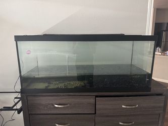 Fish tank