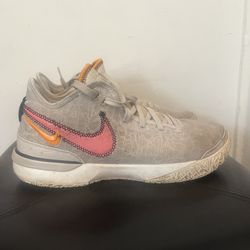 Nike Zoom LeBron NXXT Gen