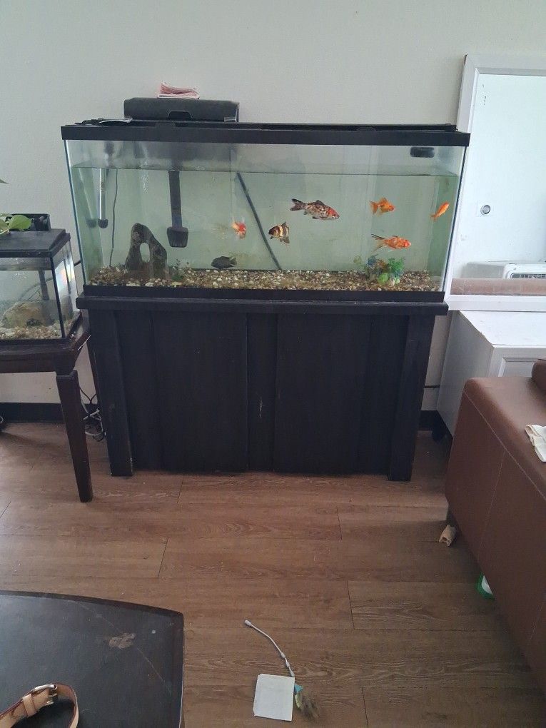 Aquarium