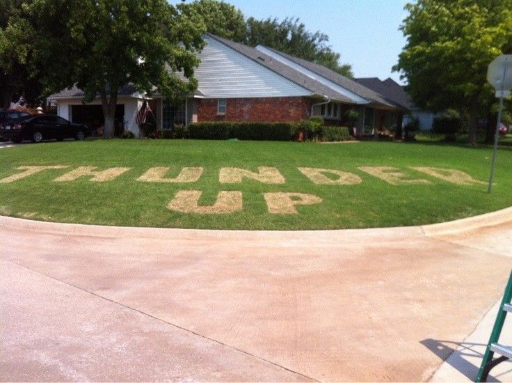Lawns, Odd Jobs, Etc.