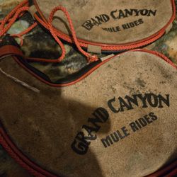 Vintage Grand Canyon Mule Ride Make Offer