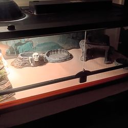 31 gallon reptile tank with accessories and lights