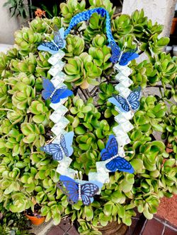 Money Lei