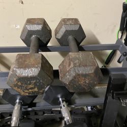20lb Dumbbells 