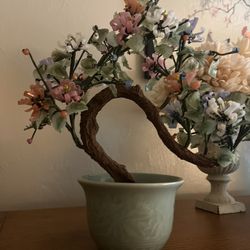  Bonzai Tree