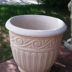 Concrete flower pot.$100
