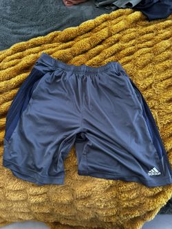 Adidas Shorts (size L)
