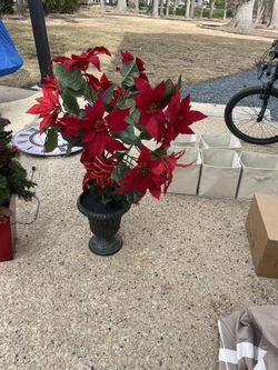 Poinsettia - Faux - Large 