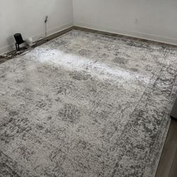 Sofia Collection Area Rug 9x12 Lightly used