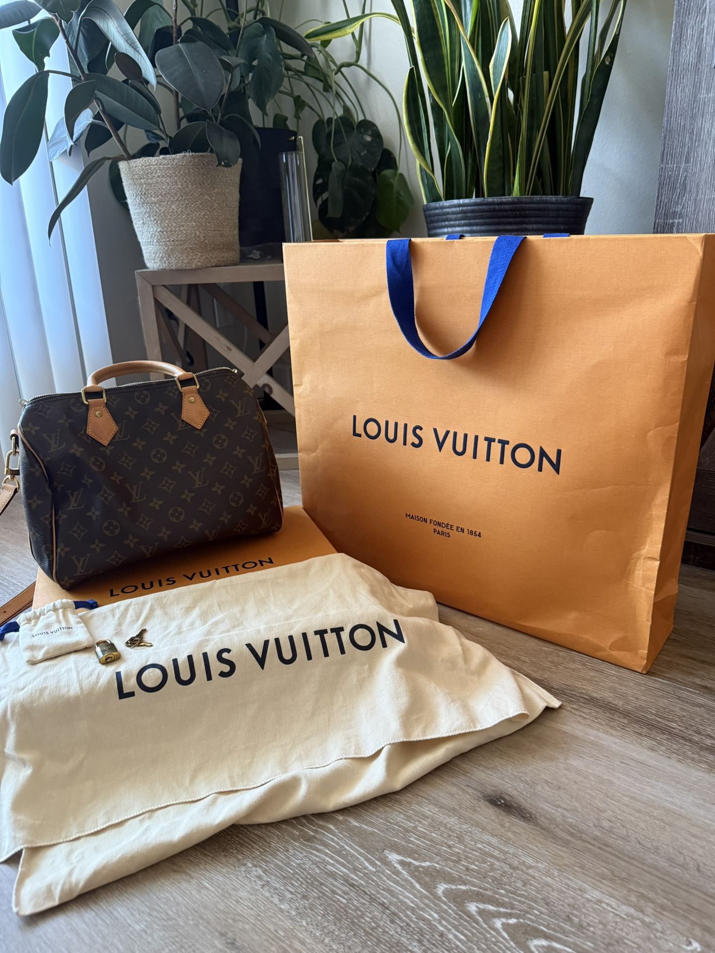 Louis Vuitton Speedy Bandoulière 25