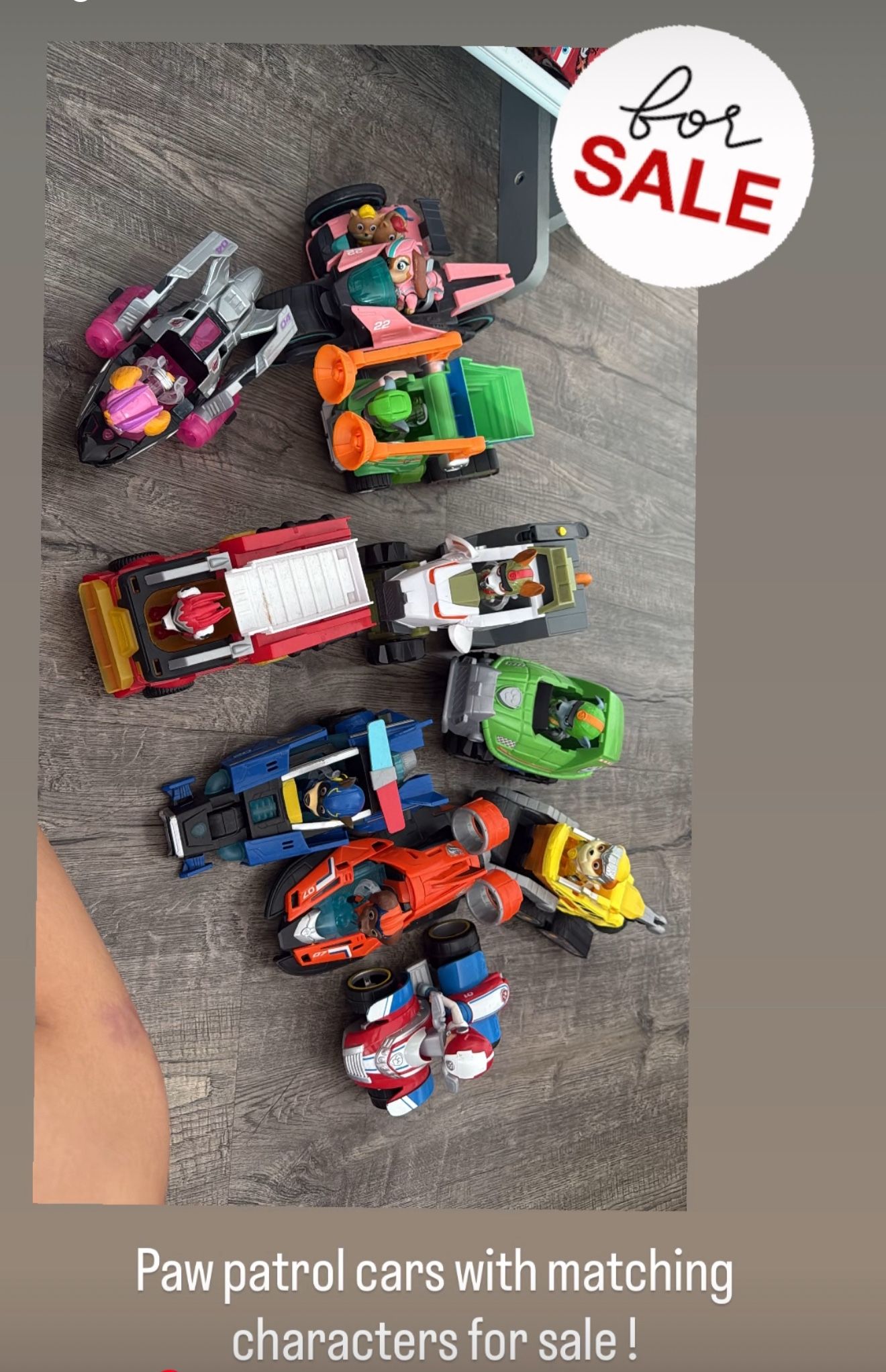 10 Paw Patrol Cars With Characters (Makes sound)