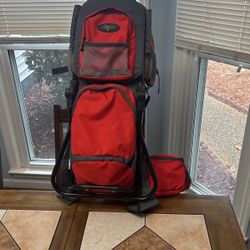 Child Carrier Backpack 