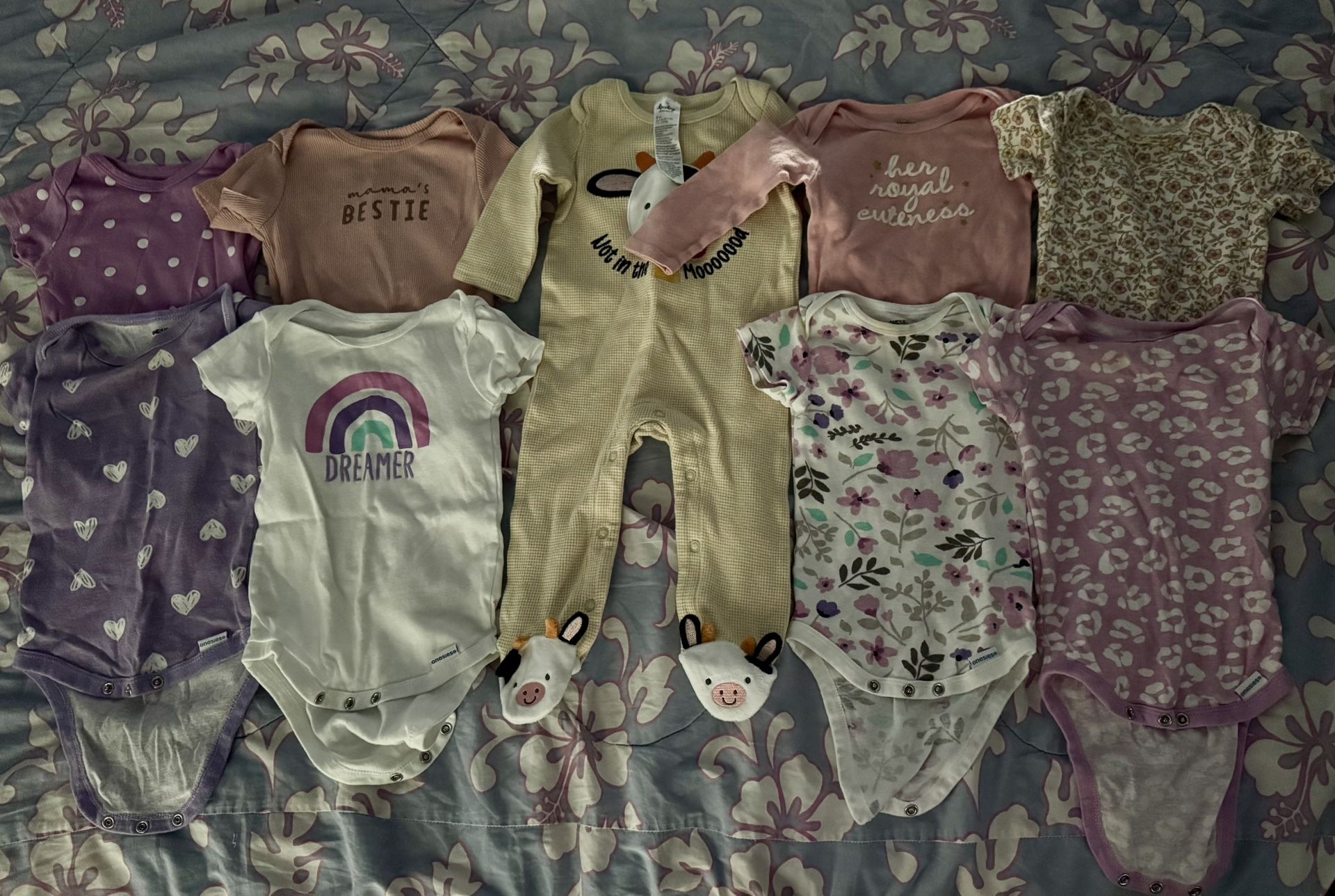12mo Baby Girl Onesies