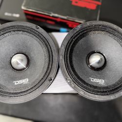 Ds18 6.5 Neo Pro Speakers (pair) Used 