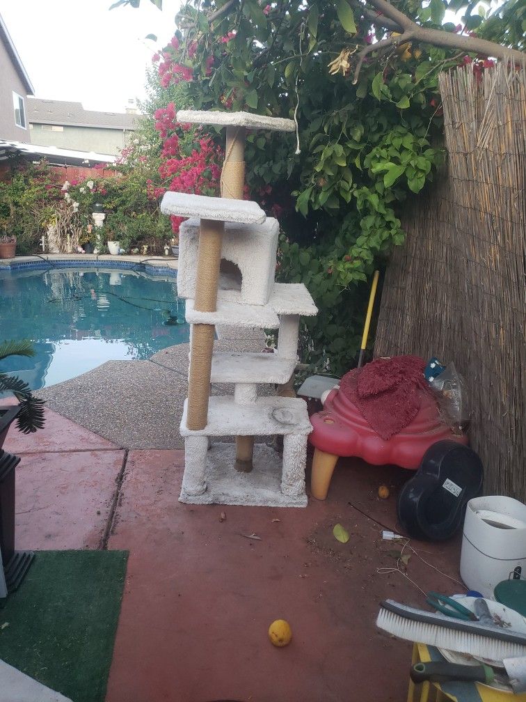 Cat House 🏠