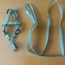 Small dog harness light adjustable with leash lime green 53 L outdoor, safety 