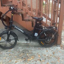 Sunny Electric Bike