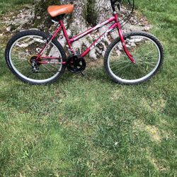 24” Mountain Bike 