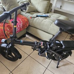Adult/teens Electric Bike 2 Seater 