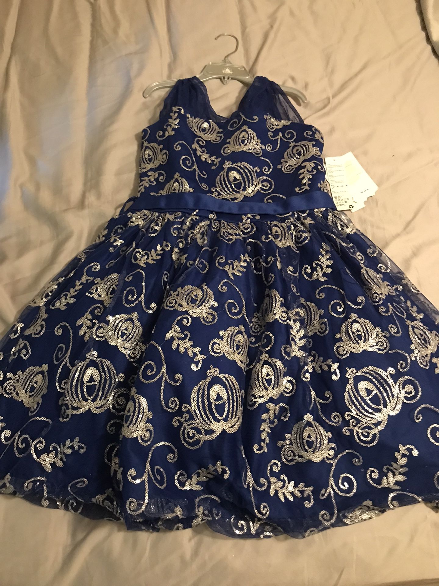 Cinderella Dress 