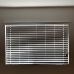 Shutters, Blinds, Verticals, Roller Shades, and Specialty Window Coverings