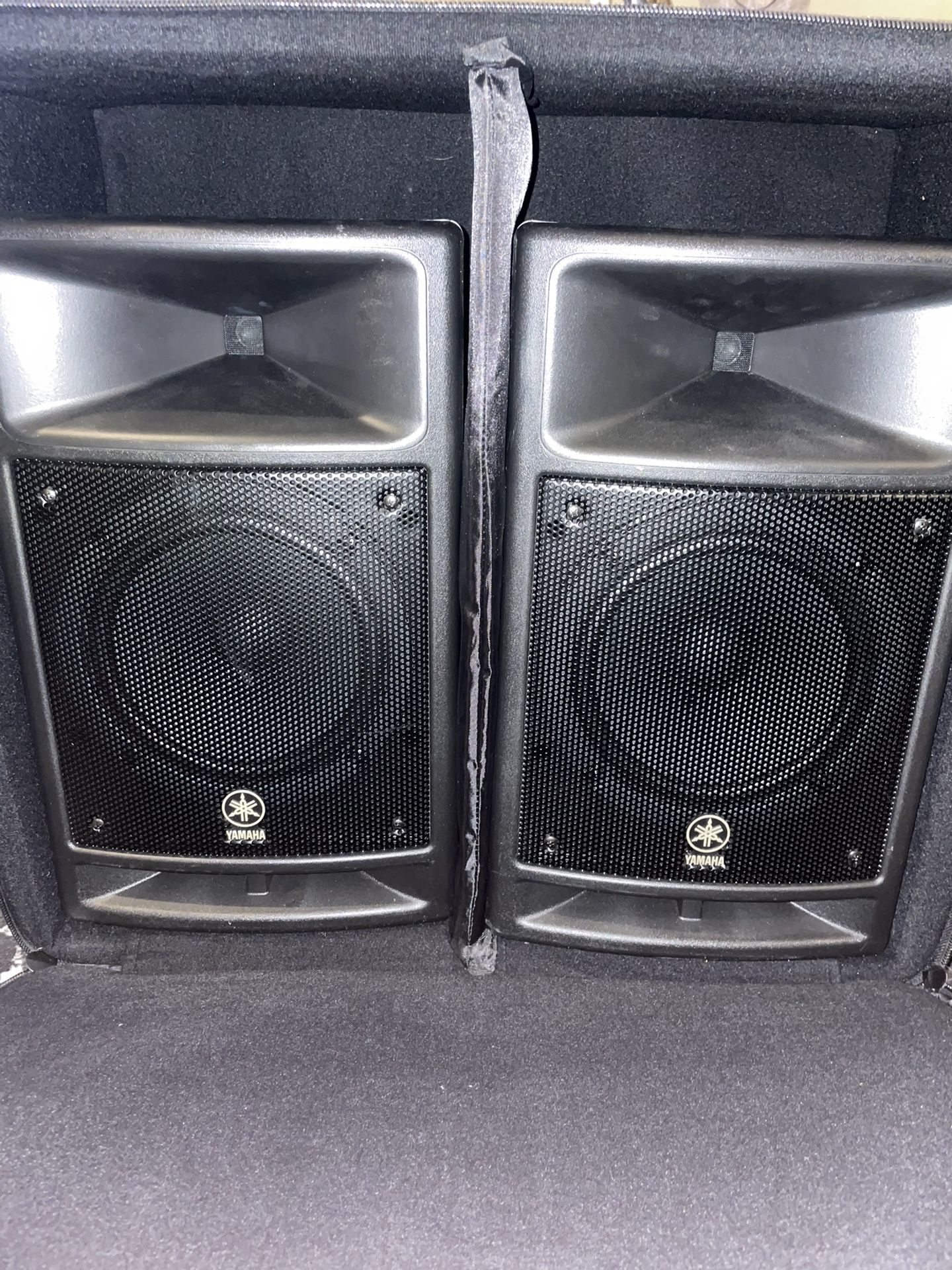 Yamaha Stagepas 300