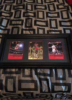 Micheal jordan photo collection