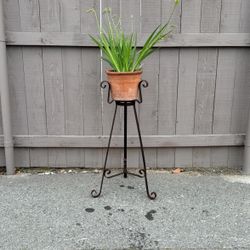 Plant Stand And Flowers 