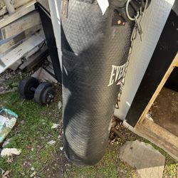 40lb Everlast Punching Bag