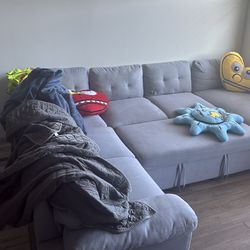 Gray couch from Wayfair