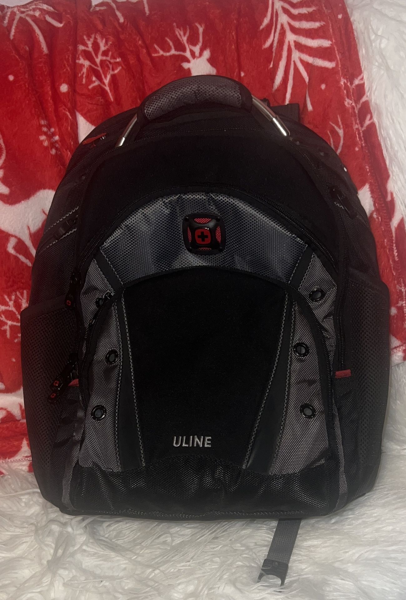 NWOT Swiss Gear Professional Backpack