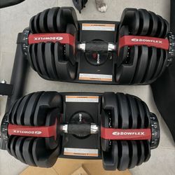 Bowflex SelectTech Dumbbells (2 Dumbbells)
