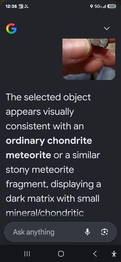 Stony Meteorite