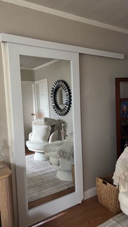 Mirrored Barn Door