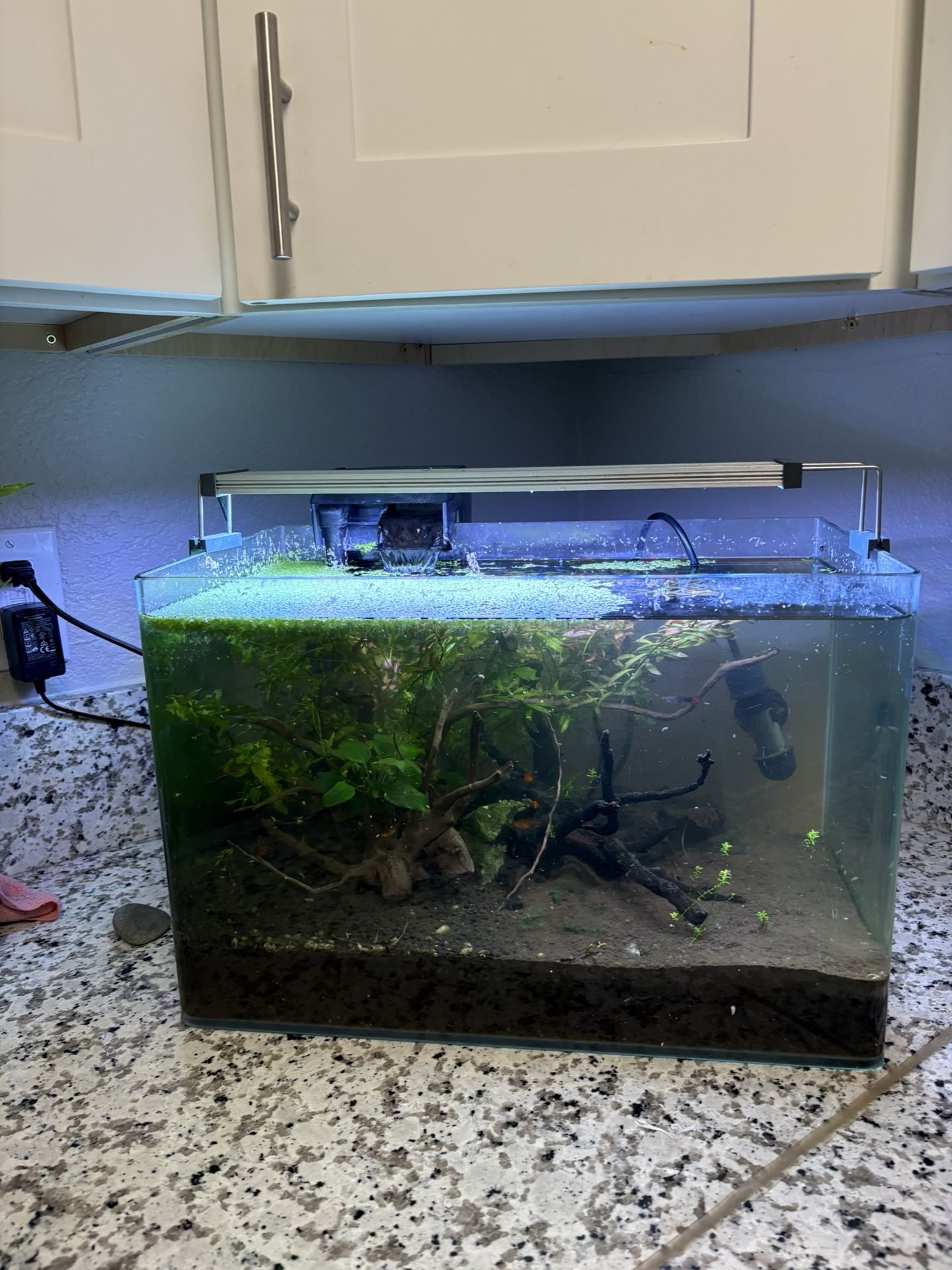 Rimless fish Tank As You See for Sale in Vista, CA - OfferUp