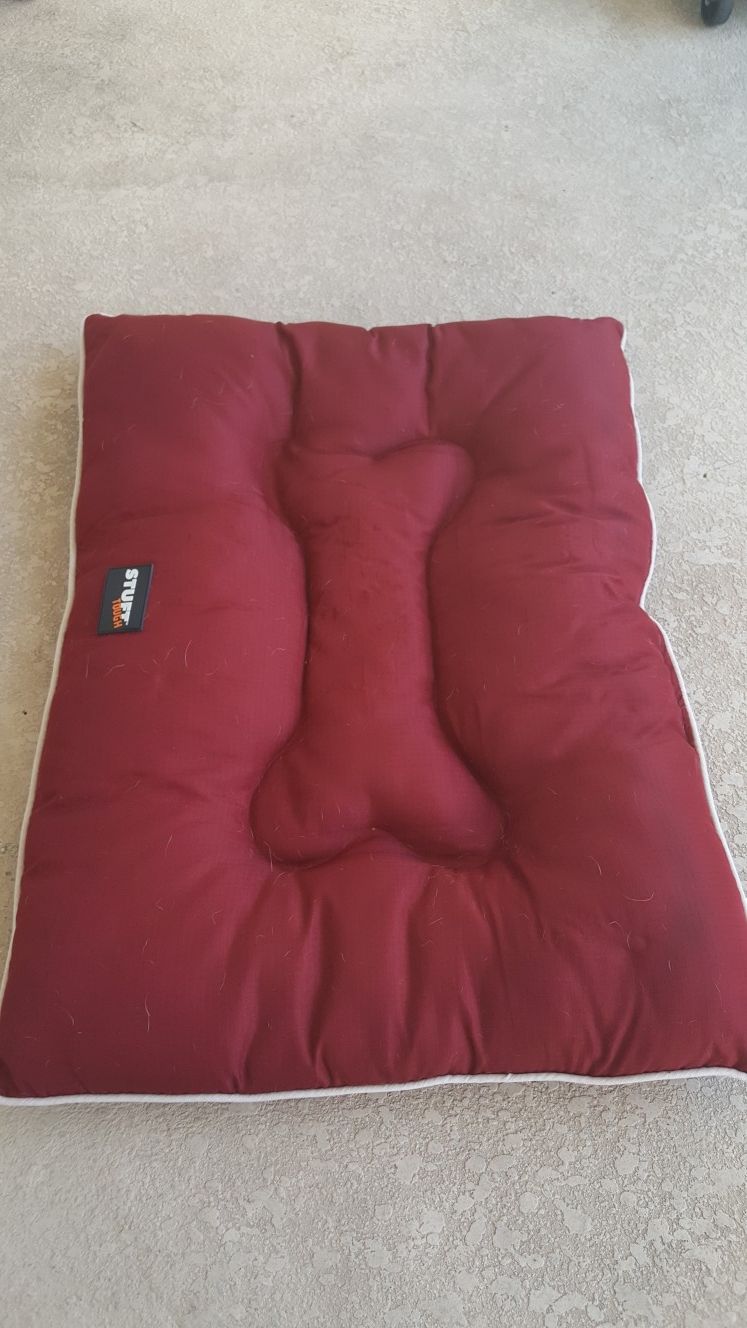 Dog bed just bought 3 wewks ago