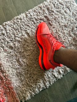 Nike Pegasus Size 10