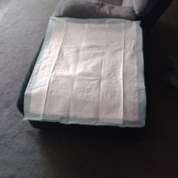 Bed Pads