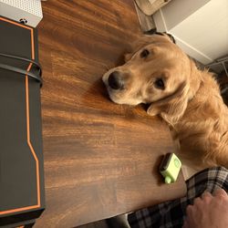 🔥 PS4 Black Ops III Special Edition + 9 Games — Great Condition! — $180 OBO 🔥