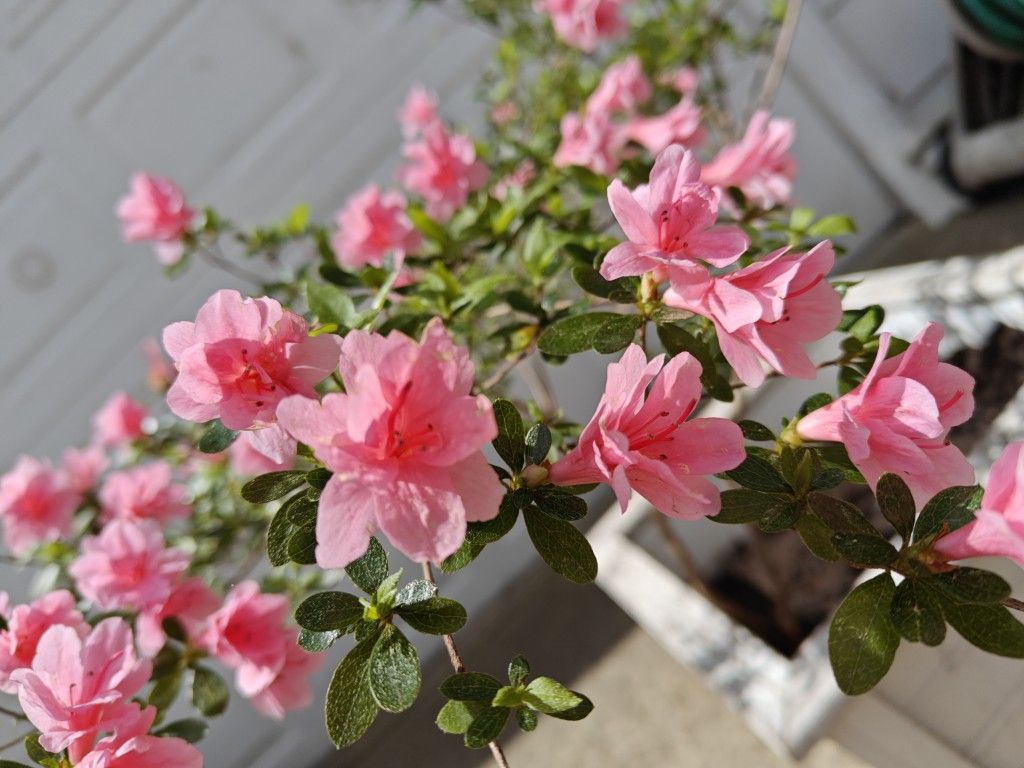 Outside Plant