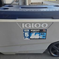 Large Cooler 