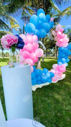 Gender Reveal Decoration Revelacion Del Sexo Fiesta
