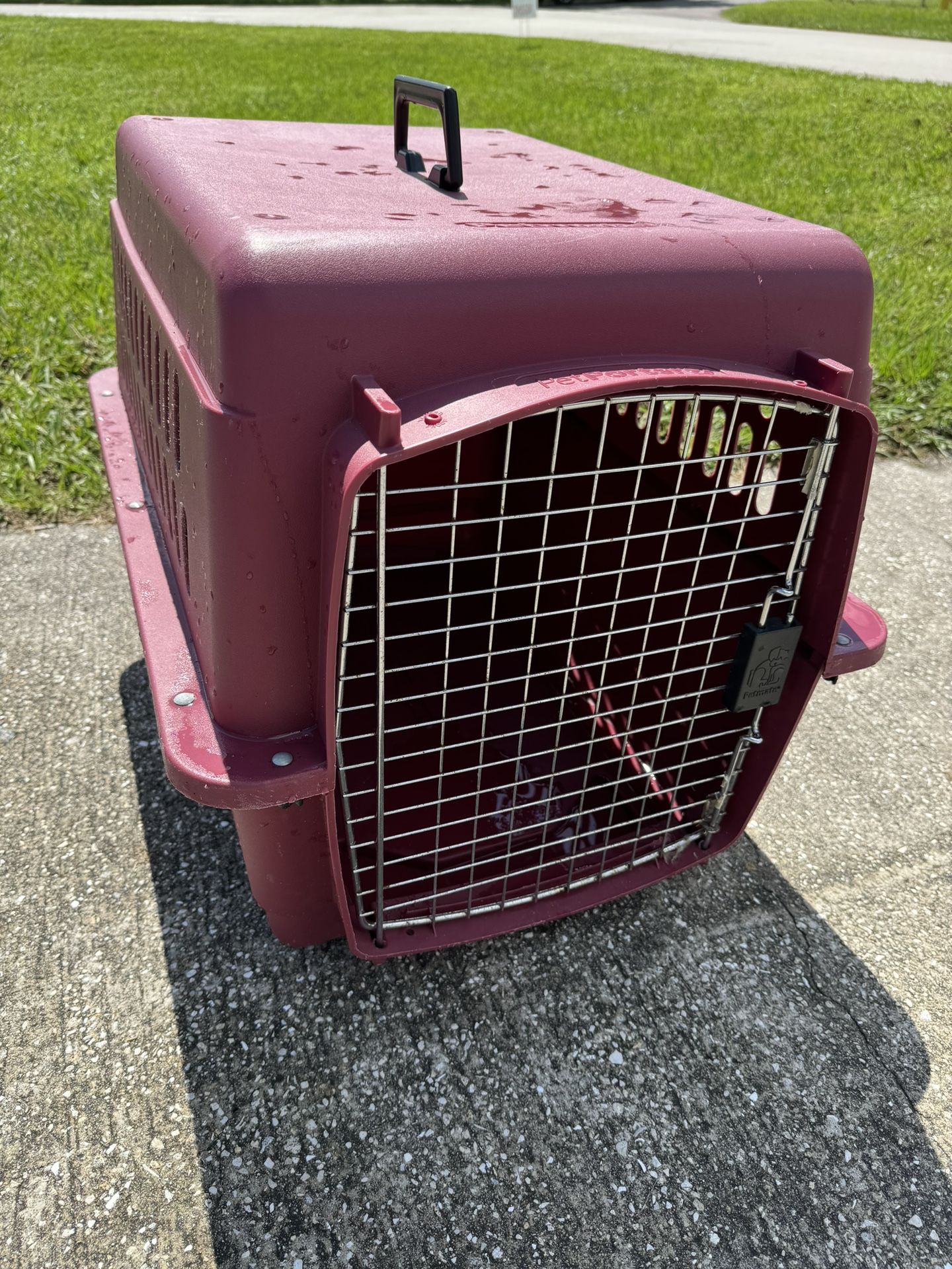 Dog House