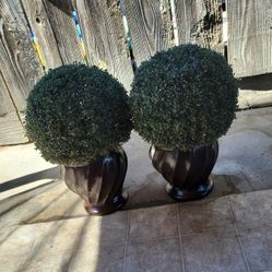 Fake Bushes In Vase