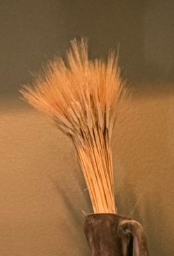 Large ornamental Silk & Dried Grass $10.00