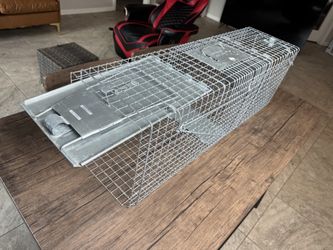 Havahart Large 2 Door Humane Catch and Release Live Animal Trap for Armadillos, Beavers, Bobcats, Small Dogs, Cats, Foxes, Groundhogs, Nutria, Opossum
