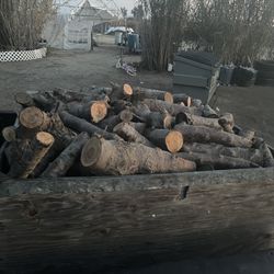 Firewood 