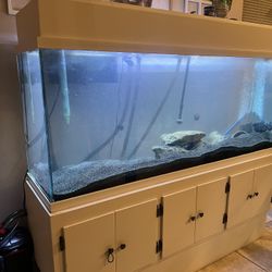 Fish Tank / Aquarium 120gal 